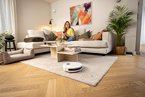 Робот пылесос с функцией влажной уборки Karcher RCV 2 - изображение 2